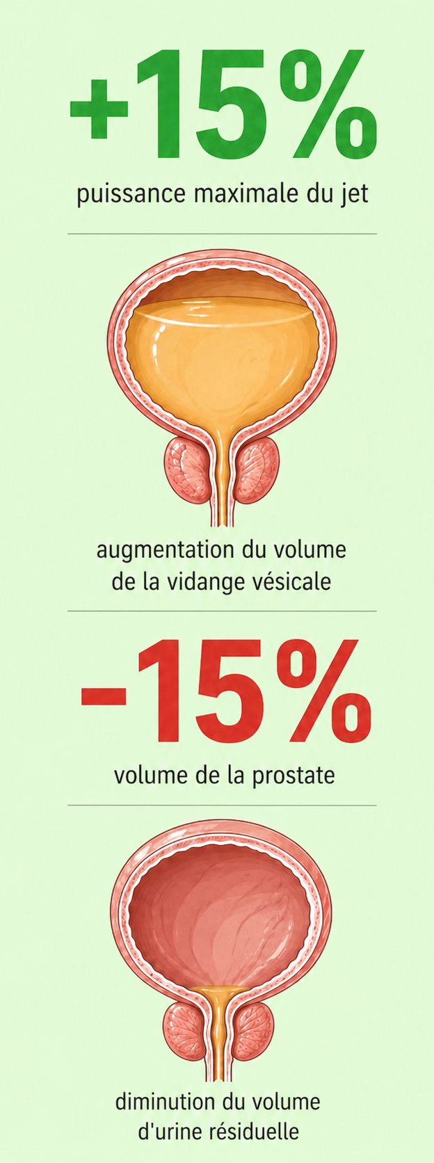 bienfaits phytostérols